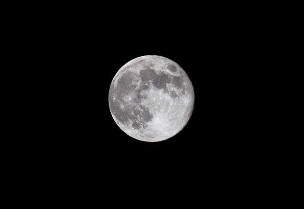 blue-moon-standlee.jpg 
