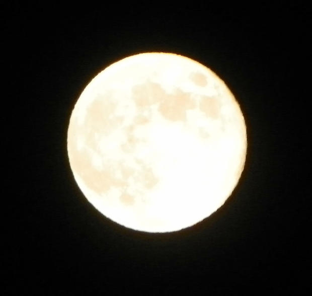 blue-moon-spenser.jpg 