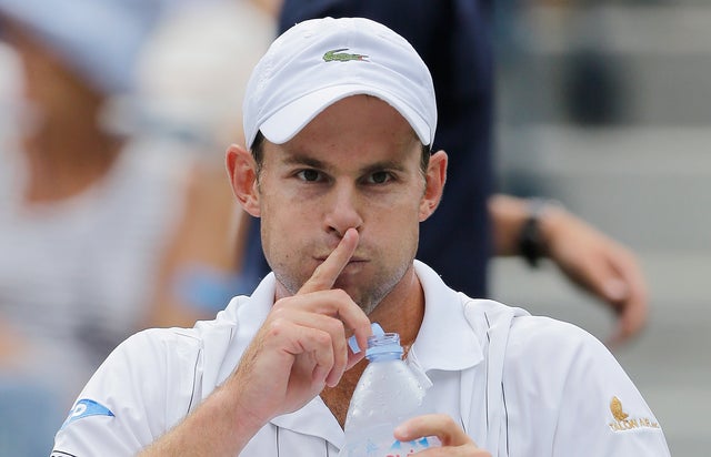 Andy Roddick gestures during his match with Fabio Fogniniin  