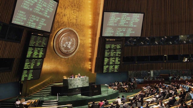 The United Nations General Assembly 