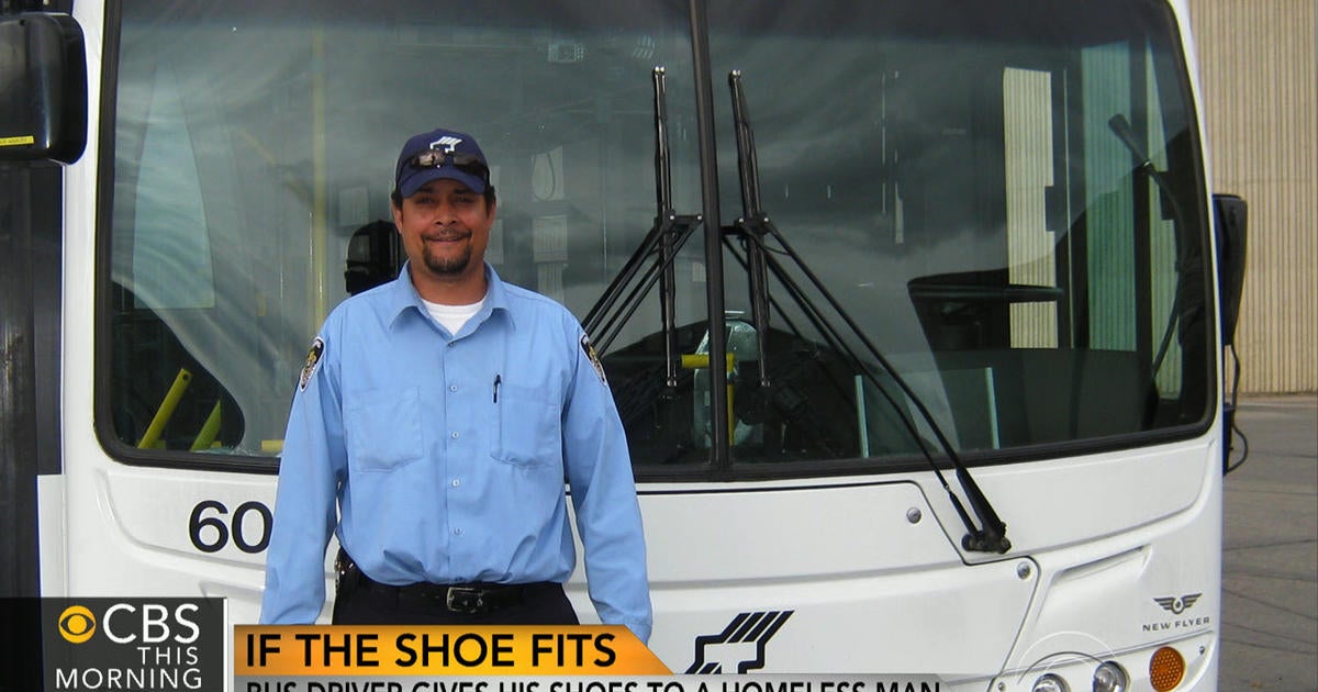 Bus store driver shoes