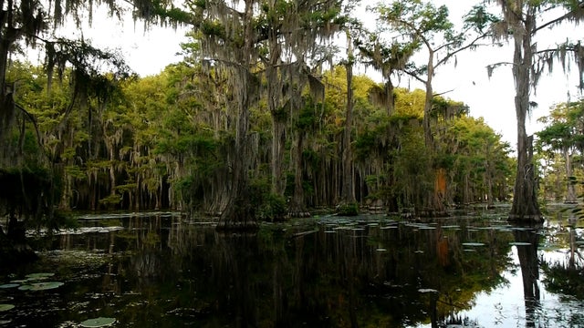 Nature: