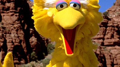 Big Bird 