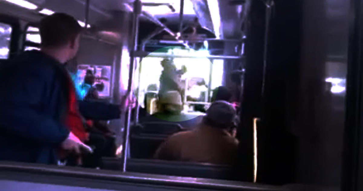 Cleveland Rta Bus Driver Uppercuts Passenger Cbs News 