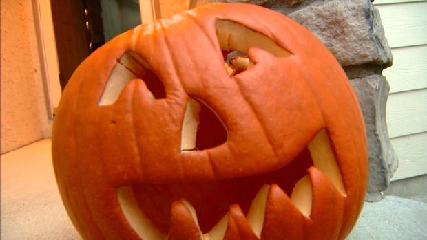 Pumpkins Jack-O-Lantern Halloween 