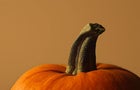 1314249_75484d8c22_z.jpg 
