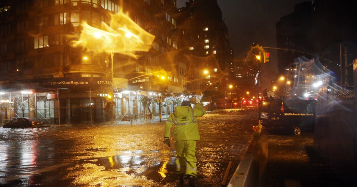 Sandy wiped out NYU lab mice, dealing blow to medical research - CBS News