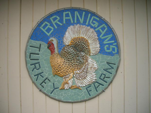 Branigan's Turkey Farm 