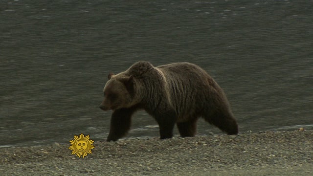 sm_1111_NATURE.jpg