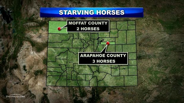STARVING HORSES MAP 