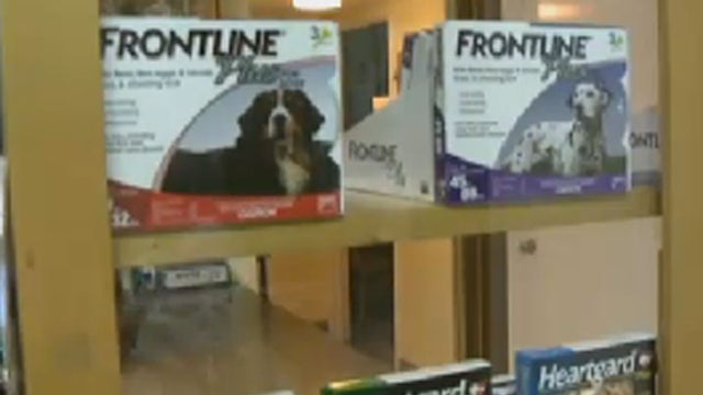 frontline---cbs-sacramento.jpg 