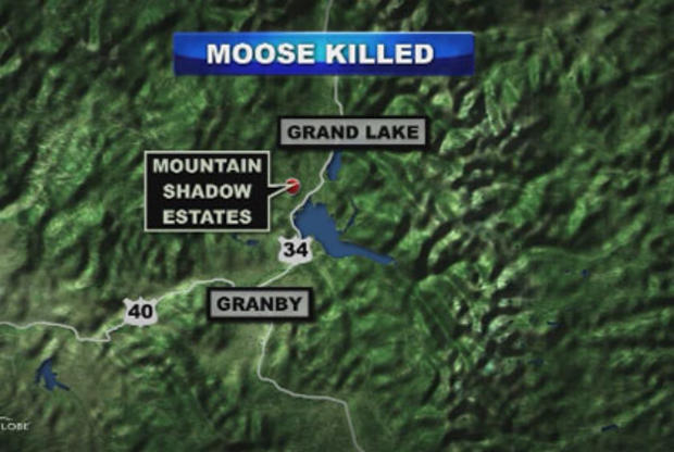 moose-killed-map 