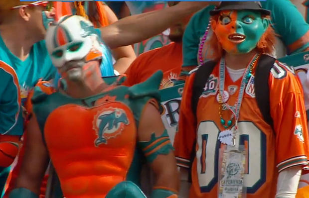 Dolphins Fans 