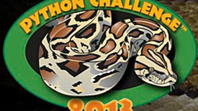 python-challenge.jpg 