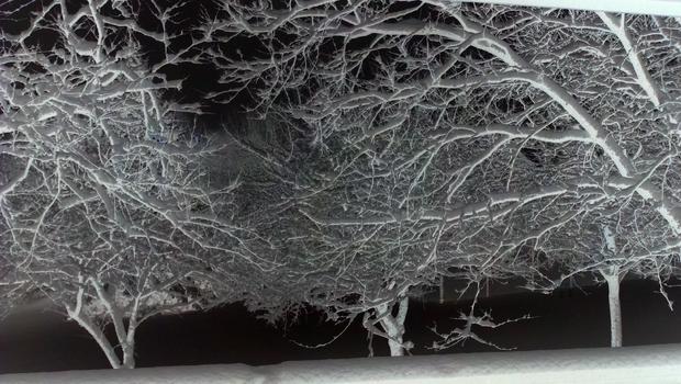 alyssa-labella-plymouth-mn-12-9-snow.jpg 