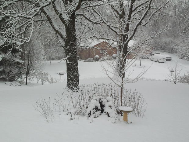 savage-mn-margaret-eustice-12-9-snow.jpg 
