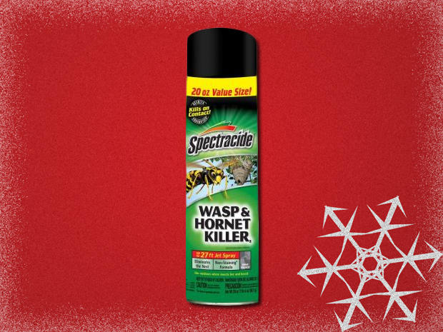 Can of wasp spray 