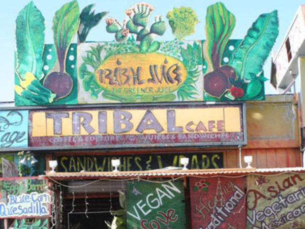 tribal cafe 