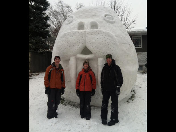 Walrus Snow Sculpture 