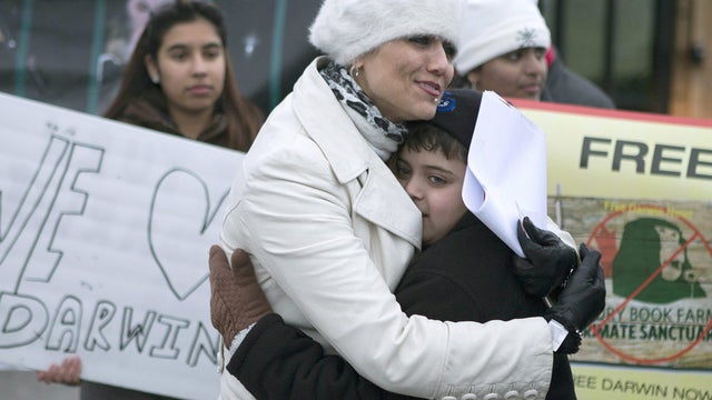 Yasmin Nakhuda, ikea, monkey, darwin 