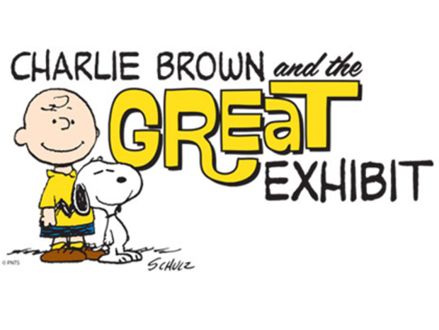 Charlie Brown Peanuts 