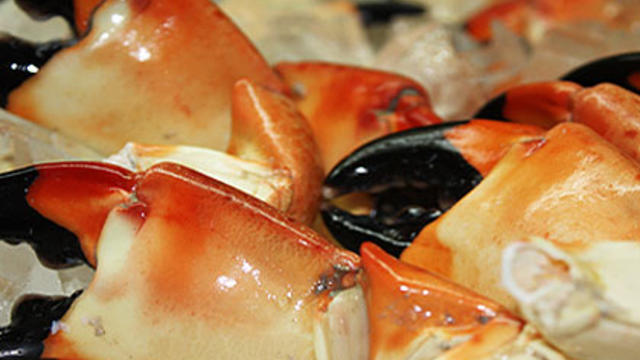 stone-crab-claws-_anastasi.jpg 
