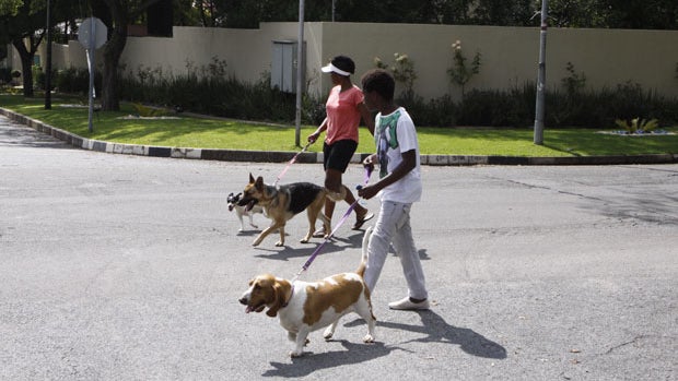 People walk their dogs outside the home of former president Nelson Mandela in Johannesburg, Thursday, Dec. 27 2012. 