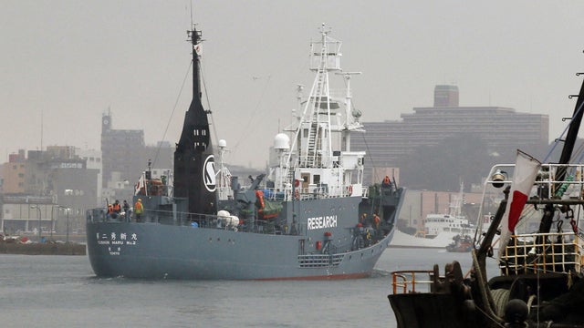 Wide_JapanWhaling_AP358548689199.jpg 