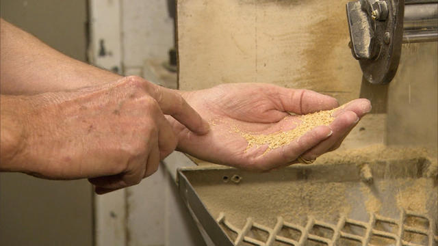 Texas rice farmers bear brunt of drought 