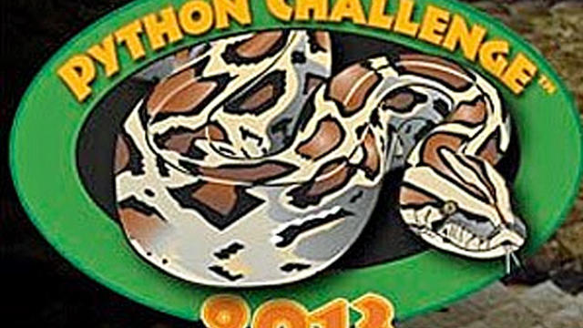 python_challenge_2013.jpg 