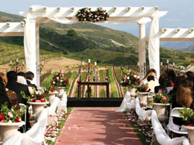 winery wedding Leonesse 