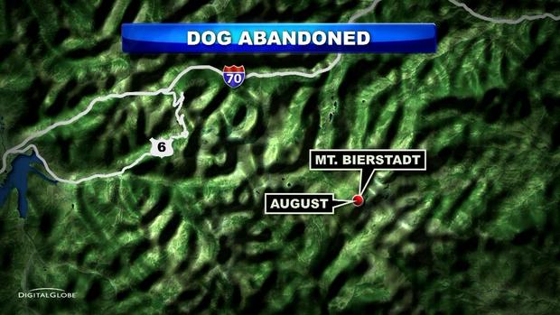 ABANDONED DOG SENTENCING Map 