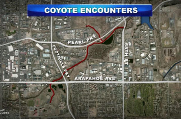 coyote-map 