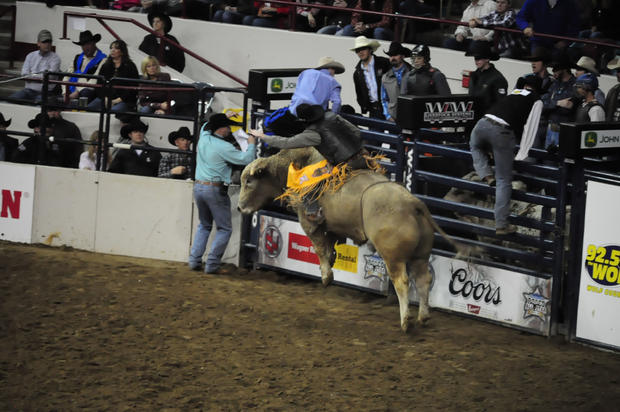 1221-bull-riding.jpg 