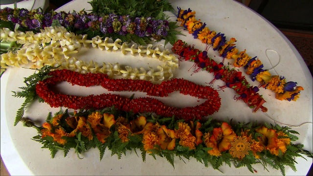 leis.jpg 