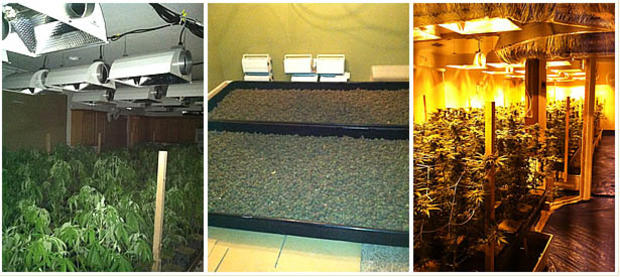 Eastvale alleged Marijuana Grow 