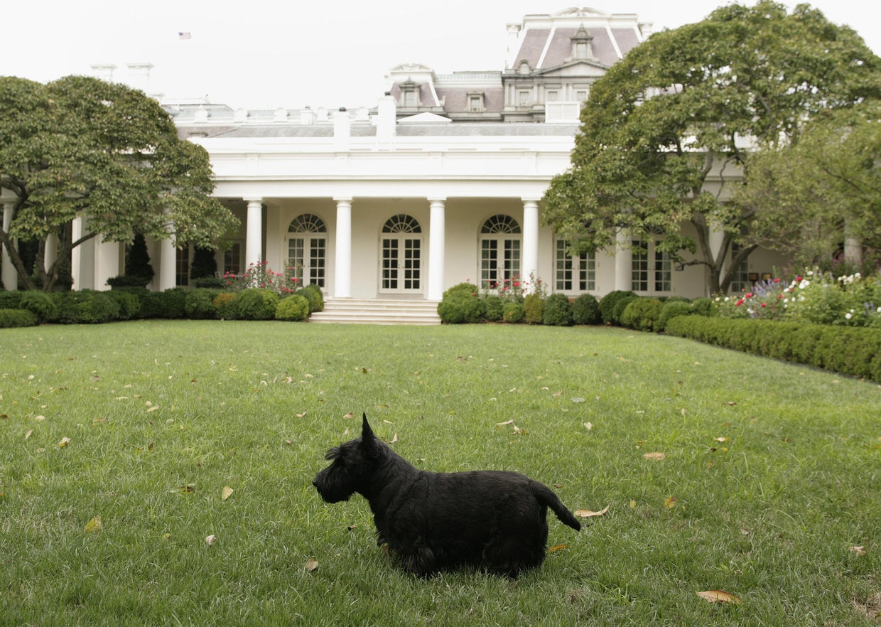 Barney, George W. Bush's dog, dies