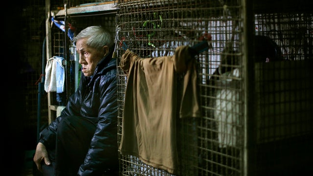 Hong Kong caged poor 