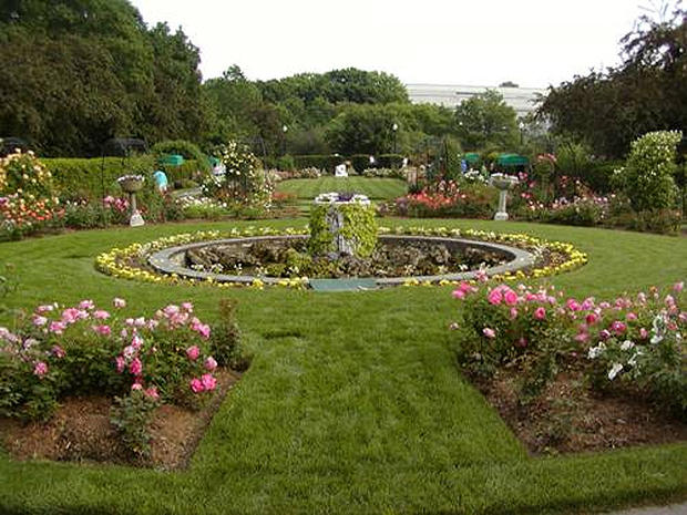 Kelleher Rose Garden Of The Emerald Necklace Park System 