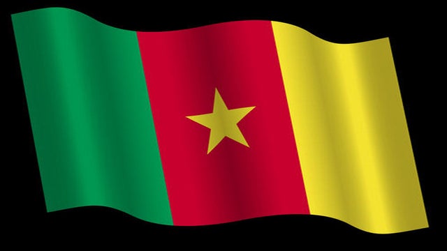 Cameroon, flag, map, generic 