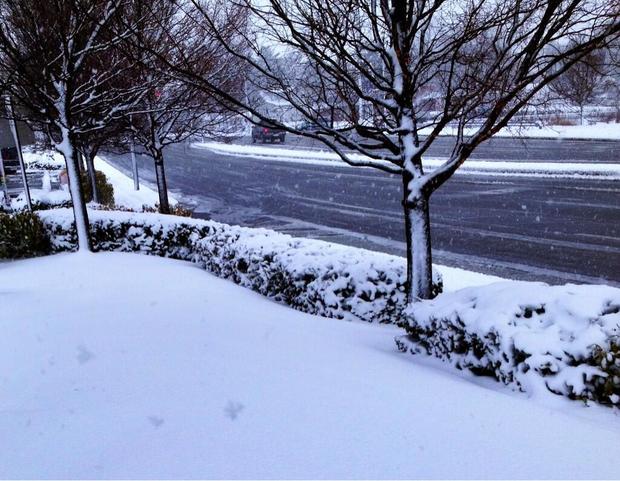 carrolll-county-snow.jpg 