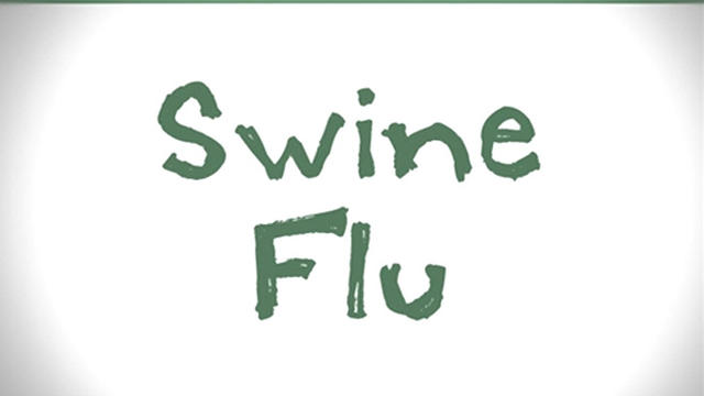 Fast Draw: Swine flu 