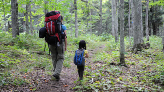 backpacking-through-forest.jpg 