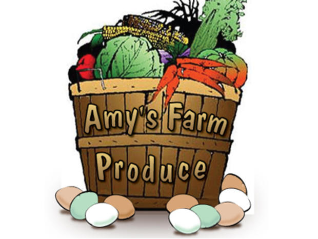 amy's farm 