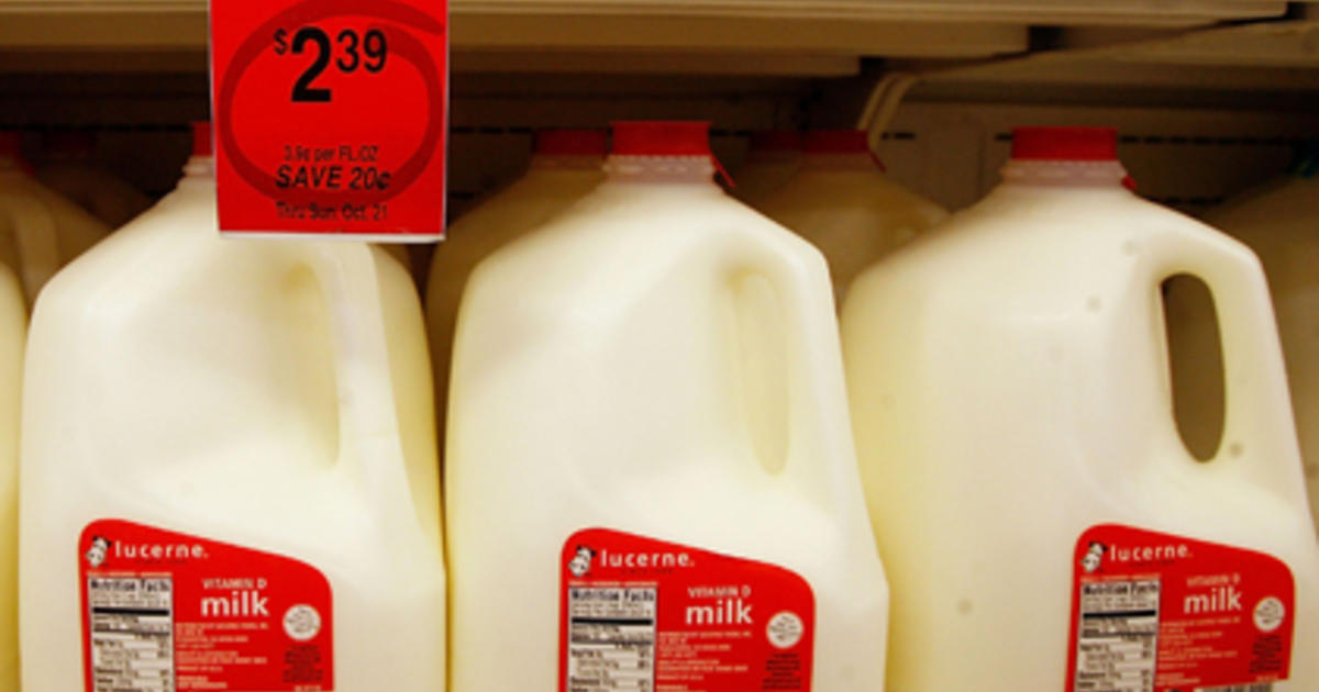 US orders bird flu testing of cows after grocery store milk tests positive
