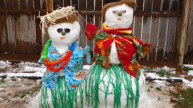 hawaiii-snowmen.jpg 
