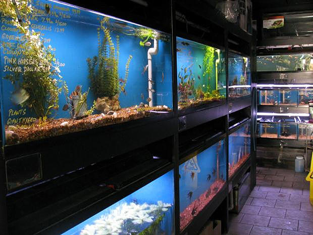 Coolen's Aquarium &amp; Pet Supply 