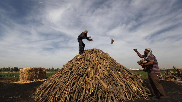 In Gaza, wood is turned to charcoal 