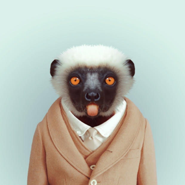lemur1_1.jpg 
