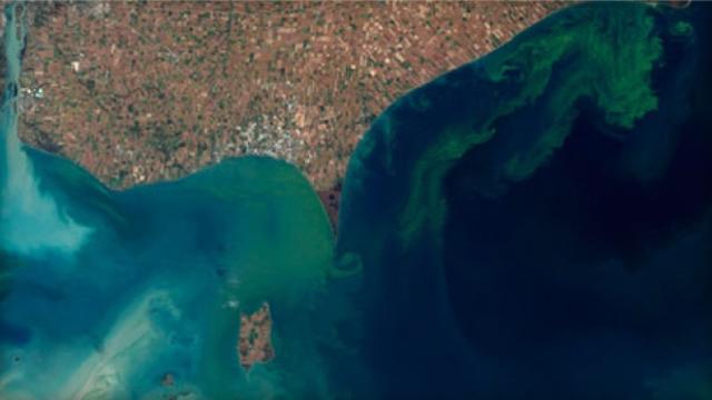 lake-erie-algae.jpg 